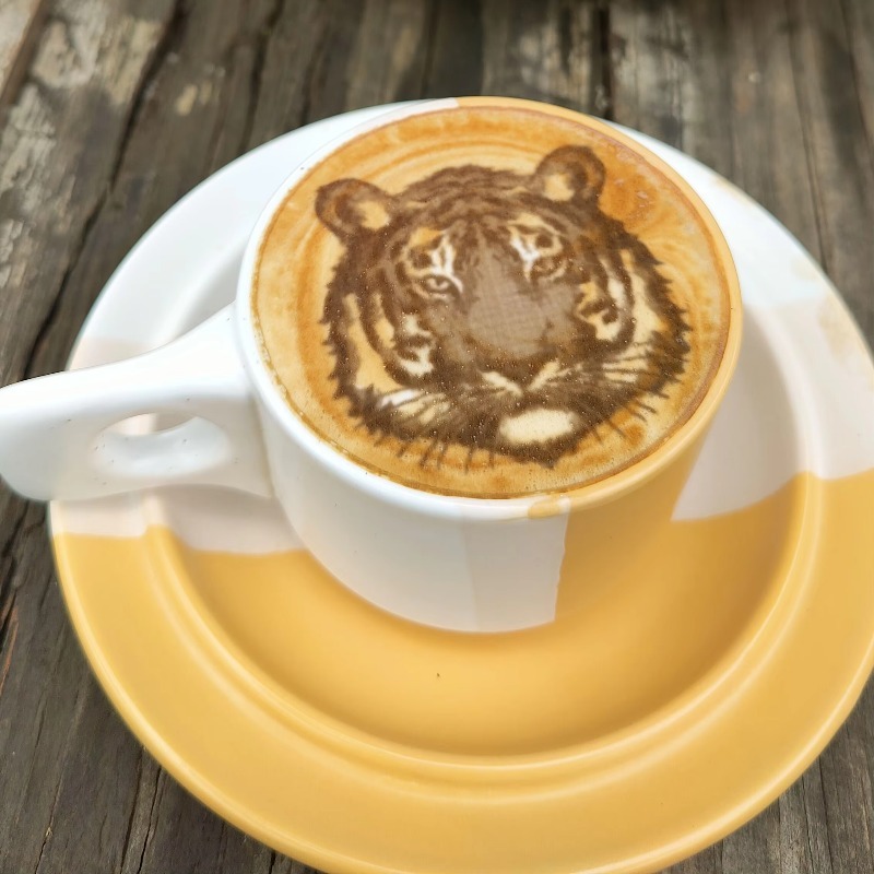 Tren Baru Perlengkapan Restora - Coffee Equipment And Supplies ulasan dan harga